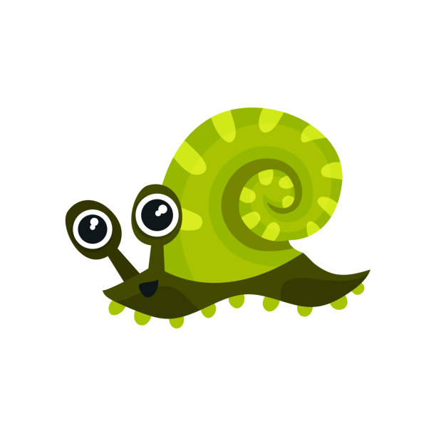 ilustrações, clipart, desenhos animados e ícones de conus verde com olhos grandes e brilhantes. adorável animal marinho. plano de elemento do vetor para crianças para reservar ou crianças a t-shirt imprimir - sea snail