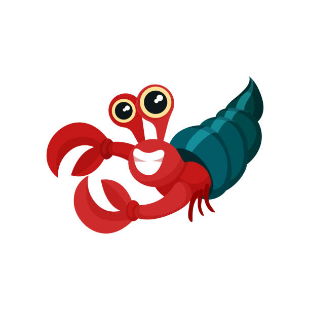 Flat vector icon of red hermit crab with shell. Smiling marine animal with big claws and shiny eyes. Sea life theme Illustration of red hermit crab with shell. Smiling marine animal with big claws and shiny eyes. Sea life theme. Colorful graphic element for postcard or mobile game. Isolated flat vector design. hermit crab stock illustrations