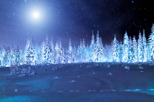 Photo of Moon over winter forest. Winter night landscape. Spruce forest in winter