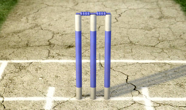istock Cricket Wickets & Pitch 1044065944