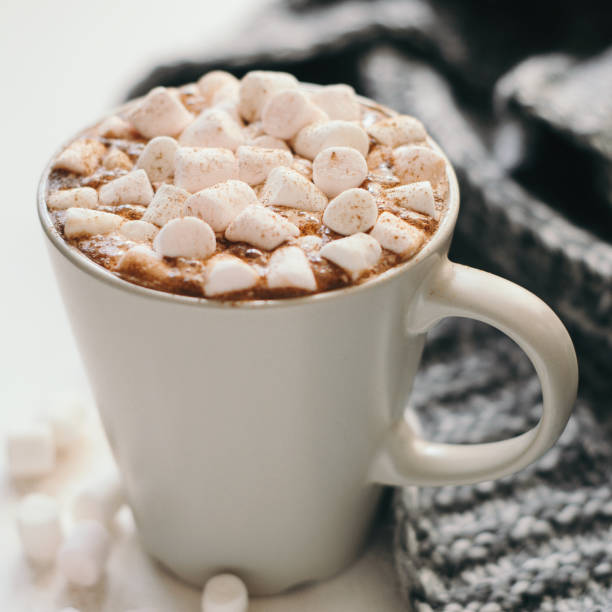 istock Hot cocoa with marshmallow, cinnamon and spices, warm cozy plaid on a white table 1044068744
