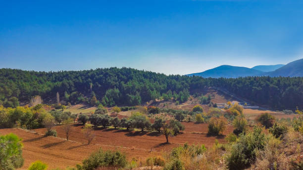istock Farm, Forest and Blue Sky 1044084360