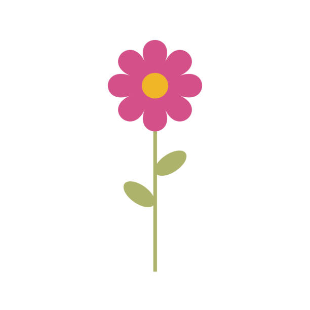istock Simple vector of a pink and yellow daisy with a branch and green leaves. 1044087634