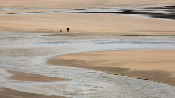 istock Lone Walkers with dog on Crantock Beach, Cornwall 1044088966