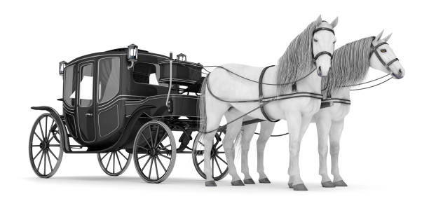 istock A black coach drawn by two white horses. 1044089224