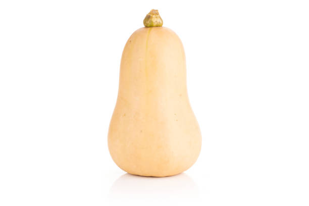 istock Smooth pear shaped orange butternut squash waltham isolated on white 1044097436