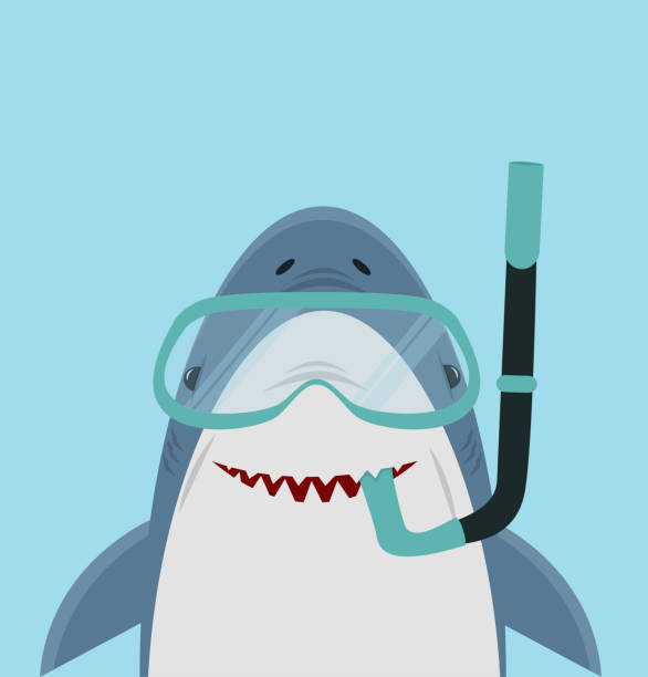 Cute White Shark With Diving Equipment Stock Illustration - Download Image  Now - Shark, Illustration, Vector - iStock