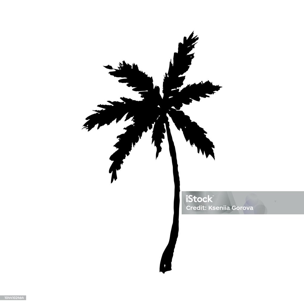 Illustration vectorielle d’un palmier dessiné de main isolé sur blanc. - clipart vectoriel de Palmier libre de droits