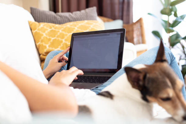 istock Woman typing on a laptop computer 1044107484
