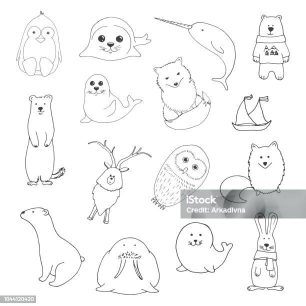 Sketch Various Northern Animals Large Set Vector Illustration In Doodle Style Stock Illustration - Download Image Now