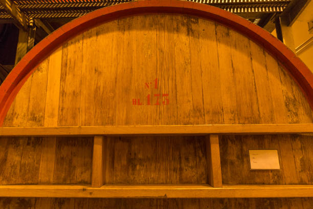 италия винодельческих баррелей подвал - winery contemporary sparse fermenting стоковые фото и изображения