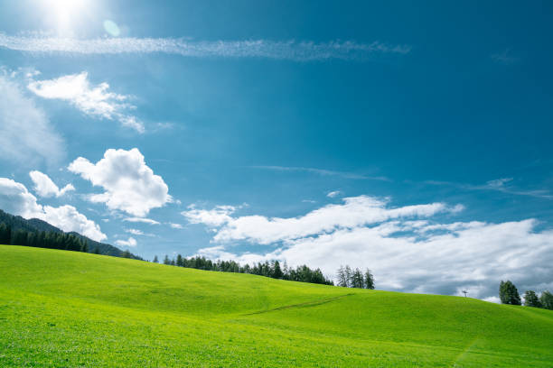 istock Alpine meadows in Dolomites mountains 1044136772