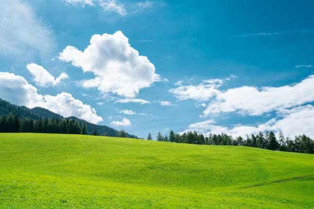 Sunny weather and green flourishing meadows in the beautiful part of Switzerland