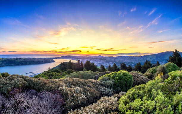 Scenic view of Dunedin City, New Zealand Amazing view from a hill top in Dunedin, New Zealand. It was early sunset. The sky has beautiful strong colors. The river and the entire city can be seen from above. There also vibrant trees. dunedin new zealand stock pictures, royalty-free photos & images