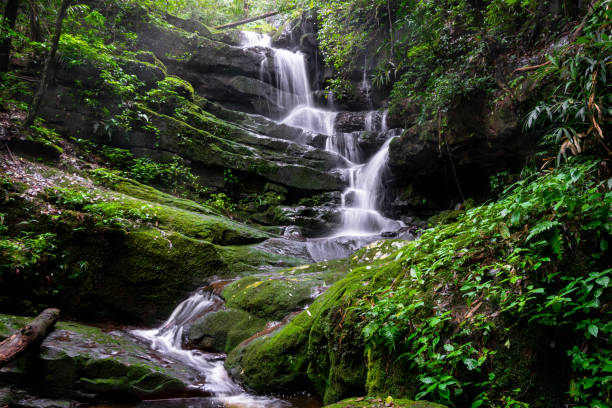 istock waterfall among nature green moss and rock 1044154470