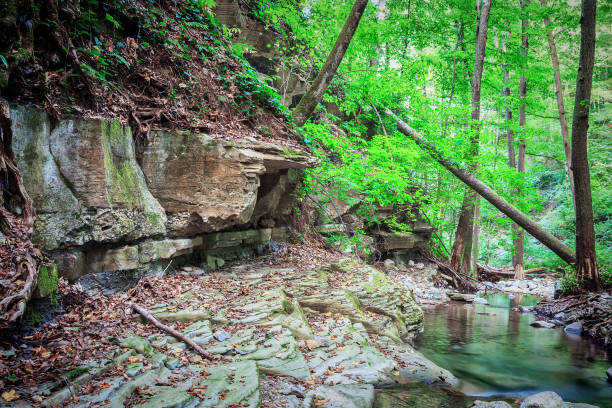 istock Painterly rocks and trees on the mountain river 1044158204