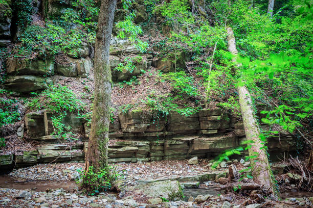 istock Painterly rocks and trees on the mountain river 1044158346