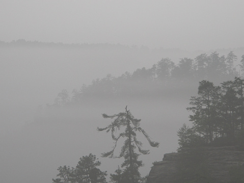 Dark foggy mountain road