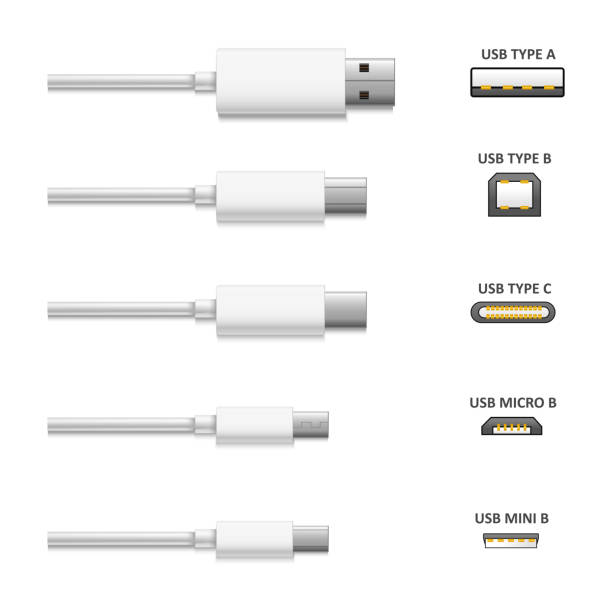 Tung lastbil Genbruge parallel Realistic Detailed 3d White Usb Types Set Vector Stock Illustration -  Download Image Now - USB Cable, USB Stick, Typing - iStock