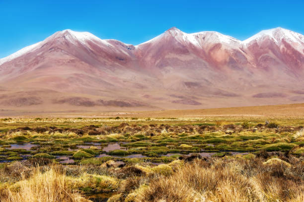 lacs alpins et le volcan enneigé dans les andes boliviennes. altiplano bolivien - tenerife spain national park canary islands photos et images de collection