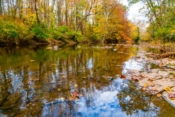 istock Stony Brook River in Autumn 1044181138
