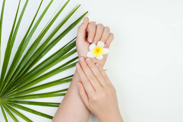 istock Spa hand manicure concept with flower and green leaves 1044185582