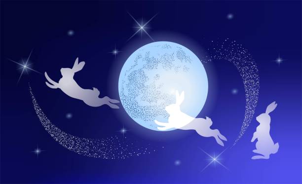 White rabbits against the background moon, night sky and stars. White rabbits against the background o moon, night sky and stars. Festive decoration of banner, poster, invitation, congratulations Mid Autumn, Christmas, Easter. Vector illustration snow globe empty silhouette stock illustrations