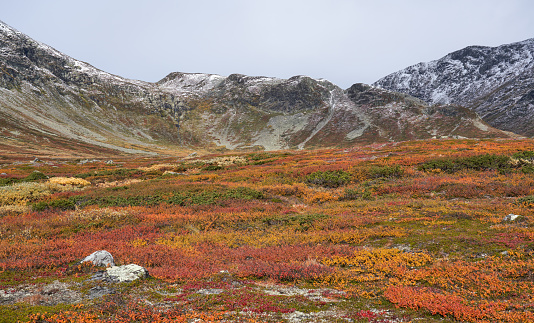 Bubotn in Bulidalen mountain area with autumn colors.
