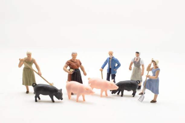 istock a mini of farmer with the pigs 1044195620