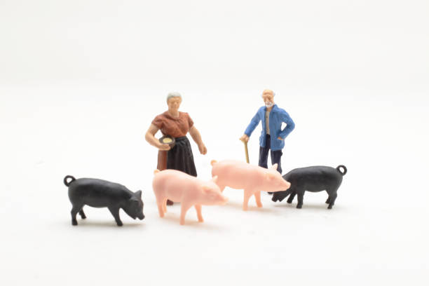 istock a mini of farmer with the pigs 1044195764