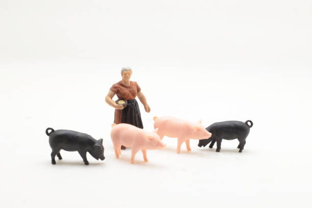 istock a mini of farmer with the pigs 1044195904