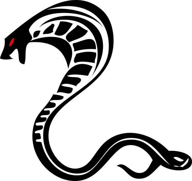 illustrazioni stock, clip art, cartoni animati e icone di tendenza di tribal tattoo designs cobra snake - cobra
