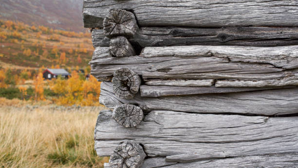 Closeup of a traditional log cabin wall in Norway, showcasing hand-cut timber construction amidst a serene north winter setting near the polar circle, evoking feelings of history, nature, and simplicity.