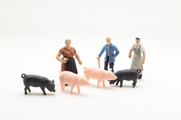 istock a mini of farmer with the pigs 1044196554