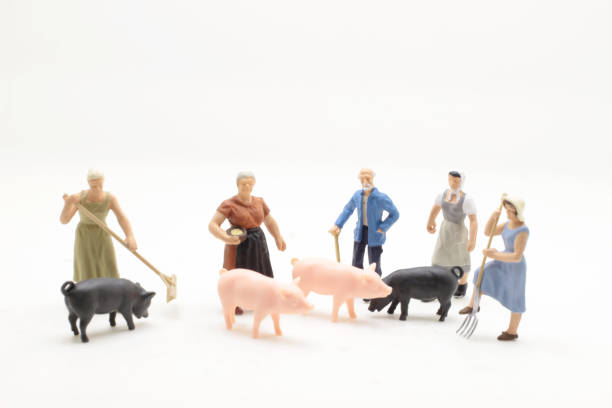 istock a mini of farmer with the pigs 1044197062