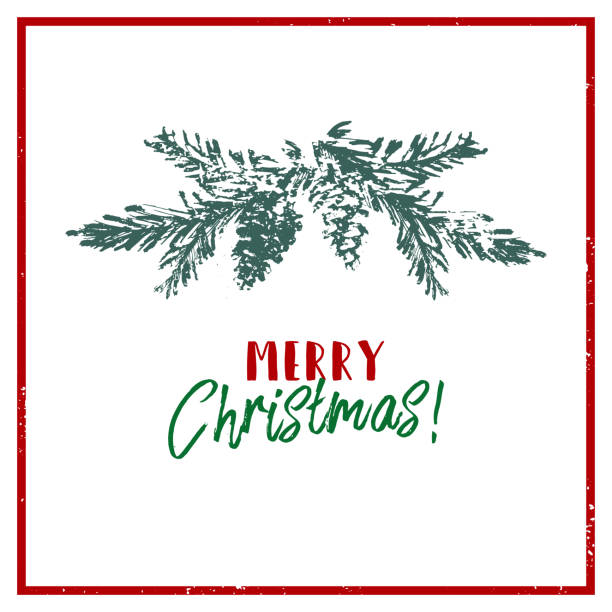 с рождеством христова рука нарисованная елка сосновая ветвь - pine tree brush stroke winter snow stock illustrations