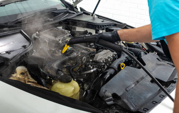 istock cleaning car engine with hot steam 1044205698