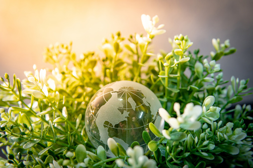 World globe crystal glass on green leaves bush. Environmental conservation. World environment day. Global business for sustainable development. Nature and ecology concept.