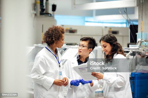 Female Scientists Discuss Work In Lab Stem Stock Photo - Download Image Now - Scientist, Laboratory, Research