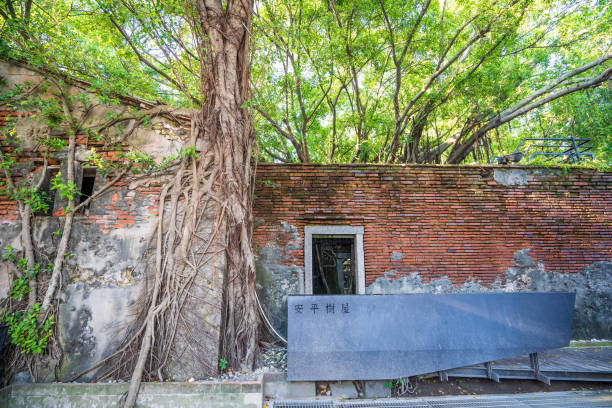 Tainan Anping, Taiwan - September 20, 2018: Anping Tree House at Anping District, Taiwan on September 20, 2018. This old warehouse is covered by branched of ancient Banyan Tree which is respected as sacred tree.