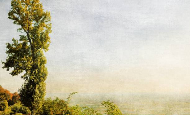 Poplar plant with horizon in vintage style. Copy space.