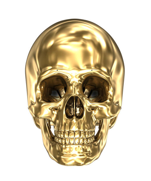 istock Golden human skull over white , 3D illustration 1044234930