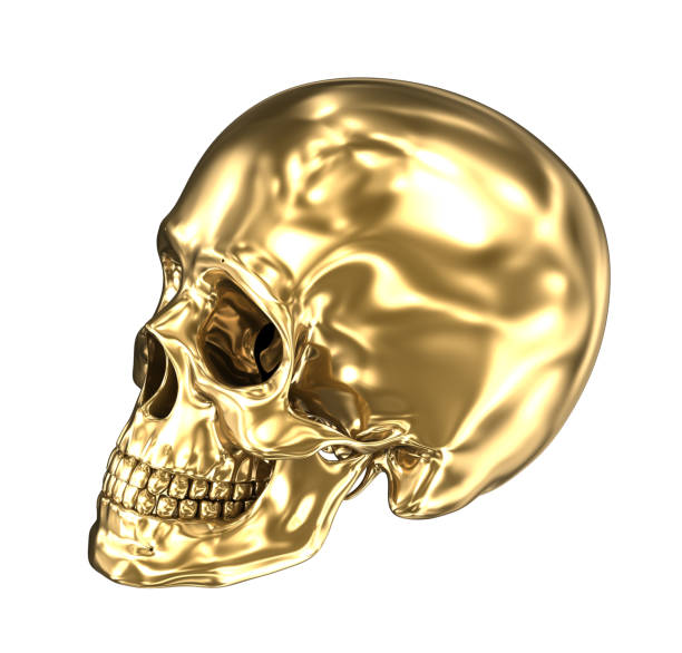 istock Golden human skull over white , 3D illustration 1044234940