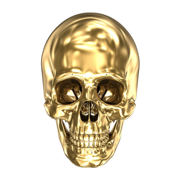 istock Golden human skull over white , 3D illustration 1044234956