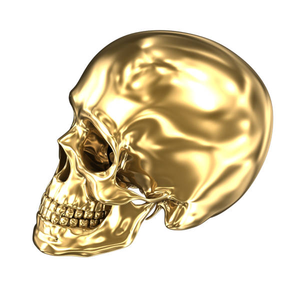 istock Golden human skull over white , 3D illustration 1044234962