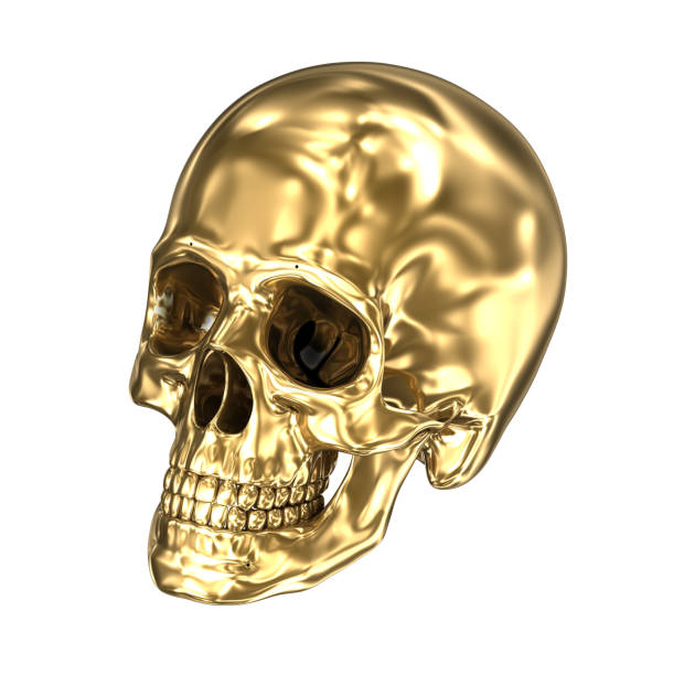istock Golden human skull over white , 3D illustration 1044234976