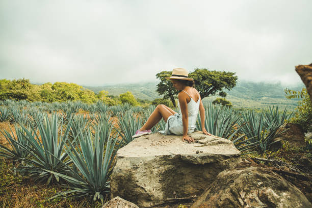 istock Woman travelling in Mexico 1044253668