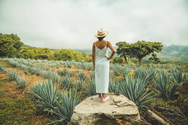 Woman travelling in Mexico stock photo