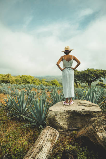 istock Woman travelling in Mexico 1044253690