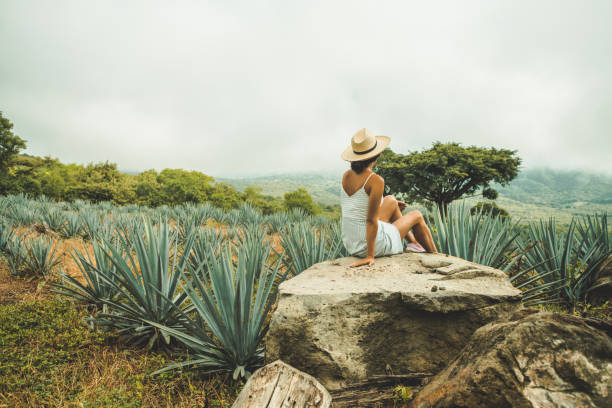 istock Woman travelling in Mexico 1044253720